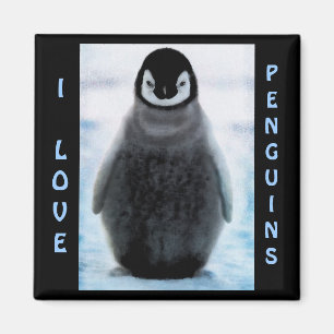 Imã Ímã das belas artes do Pinguim-amante do bebê d