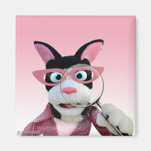 Imã Ímã das botas