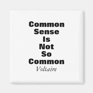Imã Ímã das citações do senso comum de Voltaire