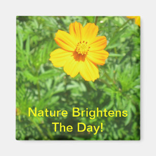 Imã Ímã das naturezas