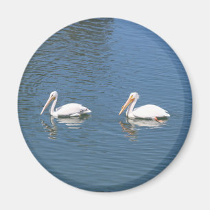 Imã ímã de 2 pelicanos brancos