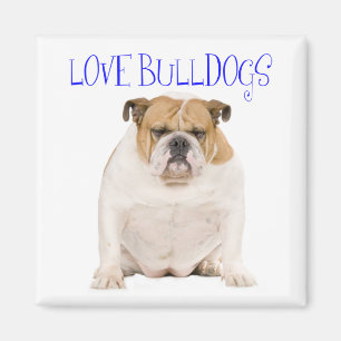 Imã Ímã de Amor de Cachorrinho Bulldog Inglês