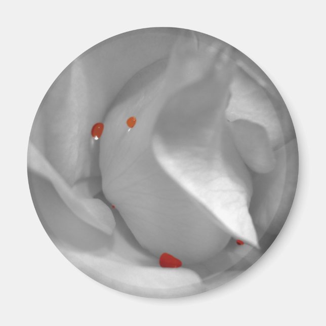 Imã Ímã de Aquarela Eólia (Frente)