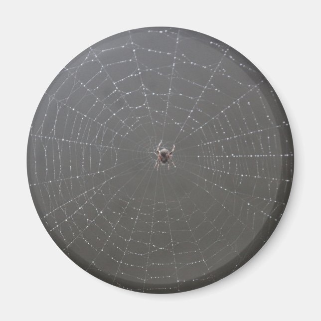 Imã Ímã de Aranha (Frente)