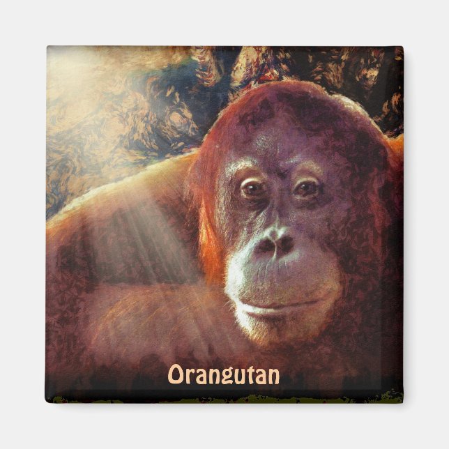 Imã Ímã de Arte Selvagem Ameaçada de Orangutan Red Ape (Frente)