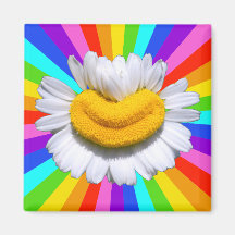 Ímã de Aura de Chuva de Cores Sorriso Radiante Fel
