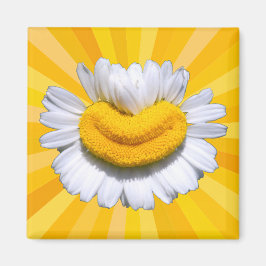 Imã Ímã de Aura de Sorriso Sol da Camomila Dourada Fel