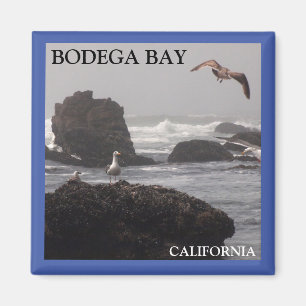 Imã ímã de Baía de Bodega