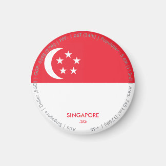 Imã Ímã de Bandeira de Singapura