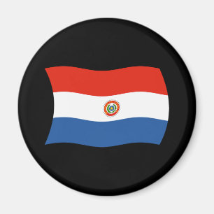 Imã Ímã de Bandeira do Paraguai