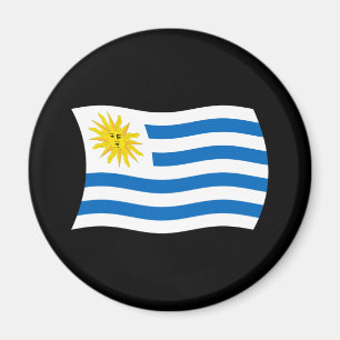Imã Ímã de Bandeira do Uruguai