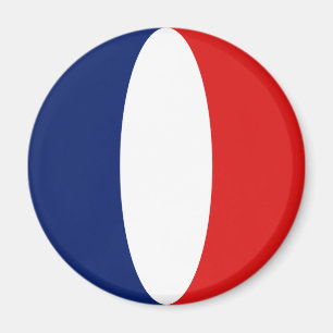 Imã Ímã de Bandeira Olho de Peixe da Guiana Francesa