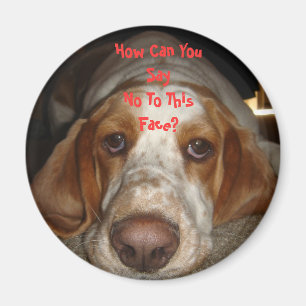 Imã Ímã de Basset Hound