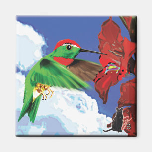 Imã Ímã de Beija-flor