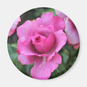 Imã Ímã de Beijo de uma Rosa