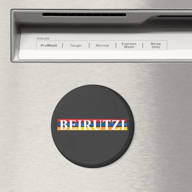 Imã Ímã de Beirute (In Situ (Dishwasher))