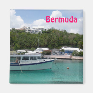 Imã Ímã de Bermuda