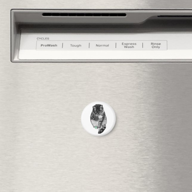 Imã Ímã de Bigode de Azevinho (In Situ (Dishwasher))