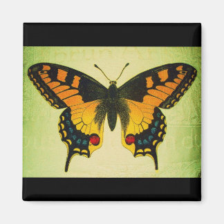 Imã ímã de borboleta