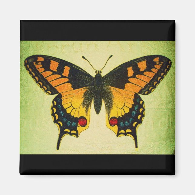 Imã ímã de borboleta (Frente)