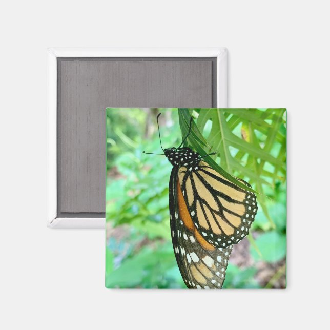 Imã Ímã de Borboleta (Front/Back)