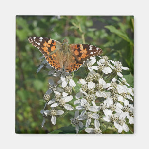 Imã Ímã de Borboleta Laranja Bonita e Flores Brancas