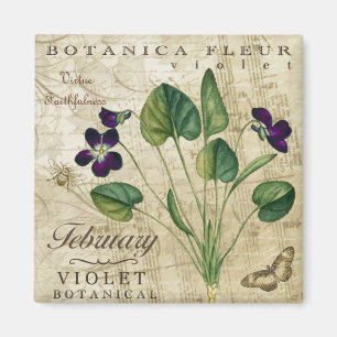 Imã Ímã de Botanica fevereiro