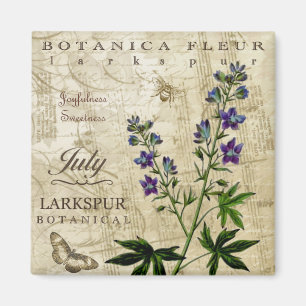 Imã Ímã de Botanica julho