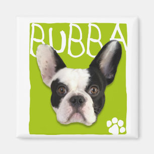 Imã Ímã de Bubba