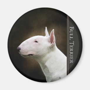 Imã Ímã de bull terrier