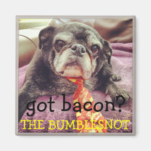Imã Ímã de Bumblesnot:  bacon obtido?