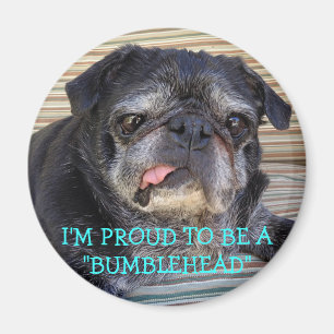 Imã Ímã de Bumblesnot: Orgulhoso ser Bumblehead