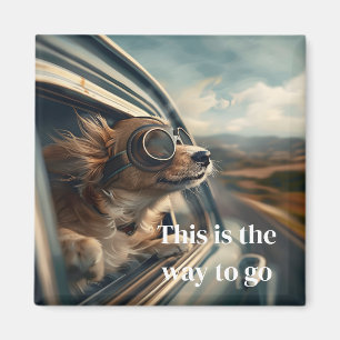 Imã Ímã de Cachorrinho