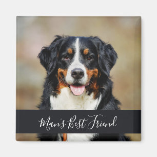 Imã Ímã de Cachorro com Foto Personalizada