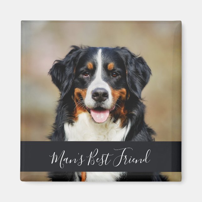 Imã Ímã de Cachorro com Foto Personalizada (Frente)