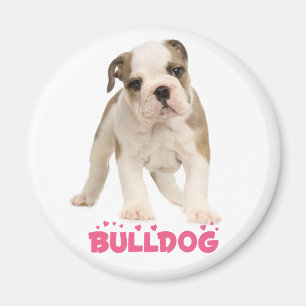 Imã Ímã de Cachorro de Estimação Bulldog Inglês Branco