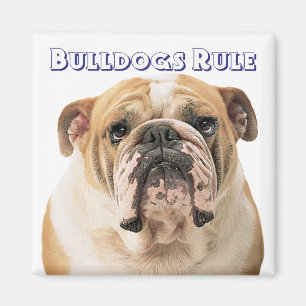 Imã Ímã de Cachorro Filhote Bulldog Inglês