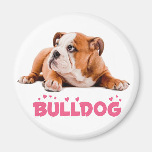 Imã Ímã de Cachorro Inglês Bulldog com Coração Rosa de