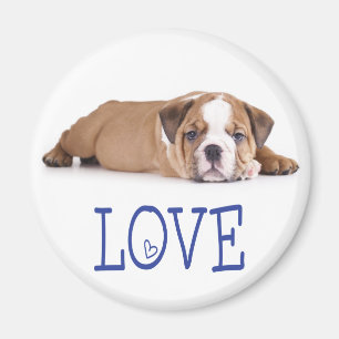 Imã Ímã de Cachorro Inglês Bulldog Filhote Amor