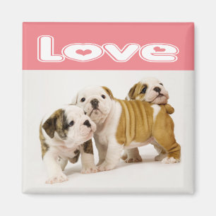 Imã Ímã de Cachorro Inglês Bulldog Filhote Amor