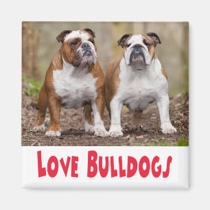 Imã Ímã de Cachorro Inglês Bulldog Filhote Amor