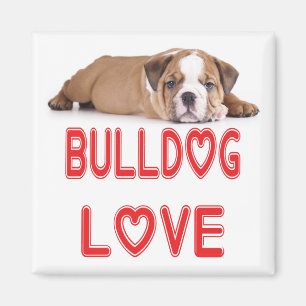 Imã Ímã de Cachorro Inglês Bulldog Filhote Amor