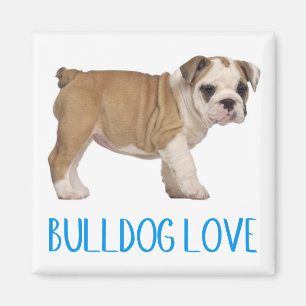 Imã Ímã de Cachorro Inglês Bulldog Filhote Amor