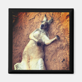 Imã Ímã de Canguru Dias Preguiçosos