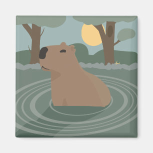 Imã Ímã de Capivara