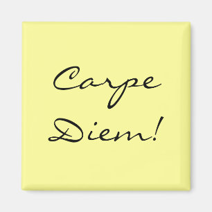Imã Ímã de Carpe Diem