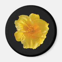 Ímã de Círculo de Flor Amarela de 2 1/4 Polegadas