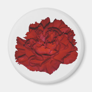 Imã Ímã de Cravo Vermelho