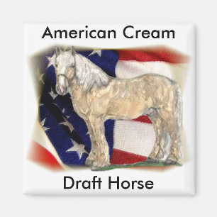 Imã Ímã de creme americano do cavalo