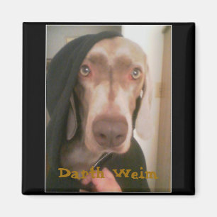 Imã Ímã de Darth Weim